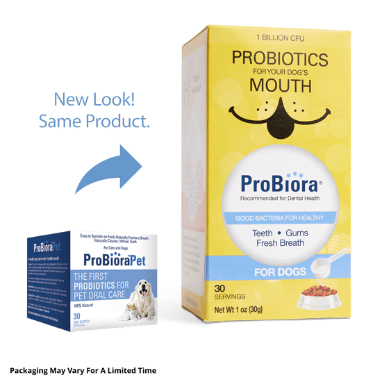 ProBioraPet Professional